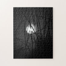 Natten på Pond Puzzle