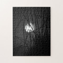 Natten på Pond Puzzle Pussel