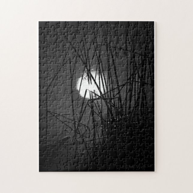 Natten på Pond Puzzle Pussel (Vertikal)