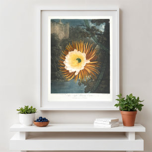 Nattens cereus (1799–1807) poster