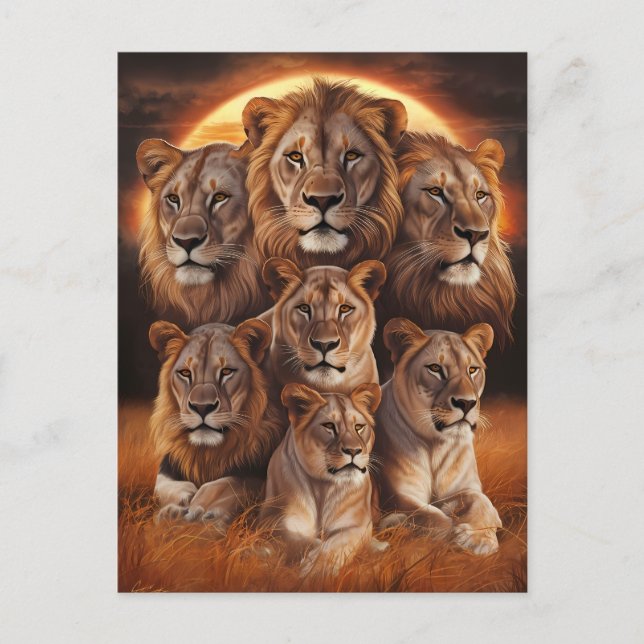 Nattens lopp: Lejon i Moonlight Vykort (Framsida)