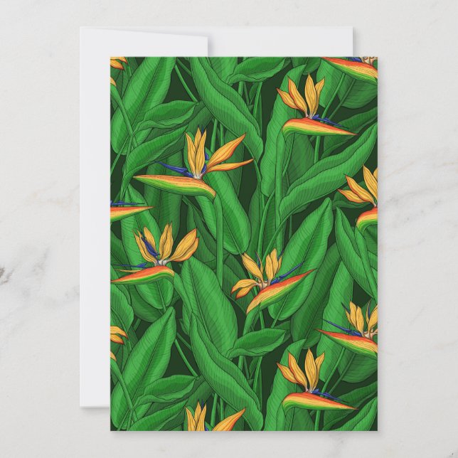 Nattfågel i paradisträdgården (Framsida)