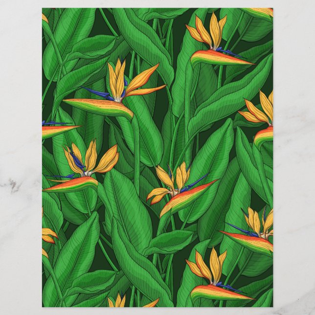 Nattfågel i paradisträdgården (Framsida)