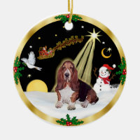 Nattflygande - Basset Hound