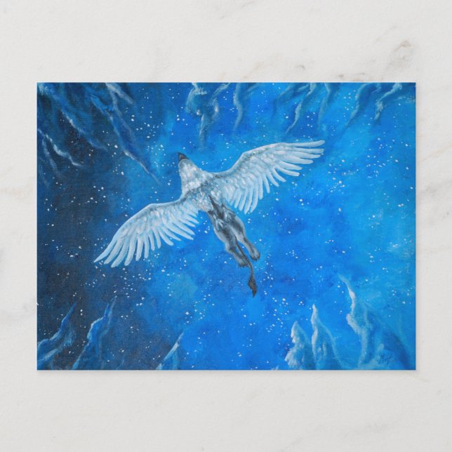 Nattflygning Vykort (Framsida)