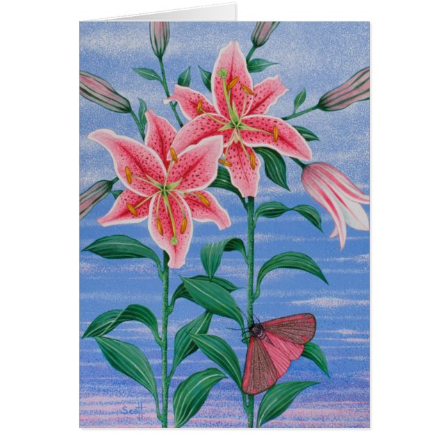 Nattförskjutningen 2011 hälsningskort (Framsidan)