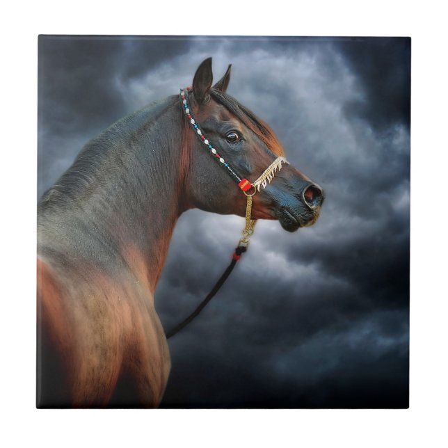 Natthäst Kakelplatta (Framsidan)