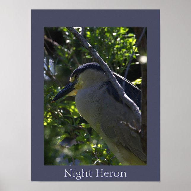 Nattheroin Poster (Framsidan)