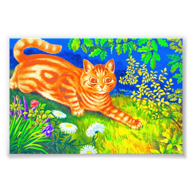 Nattkatt Fototryck (Framsidan)