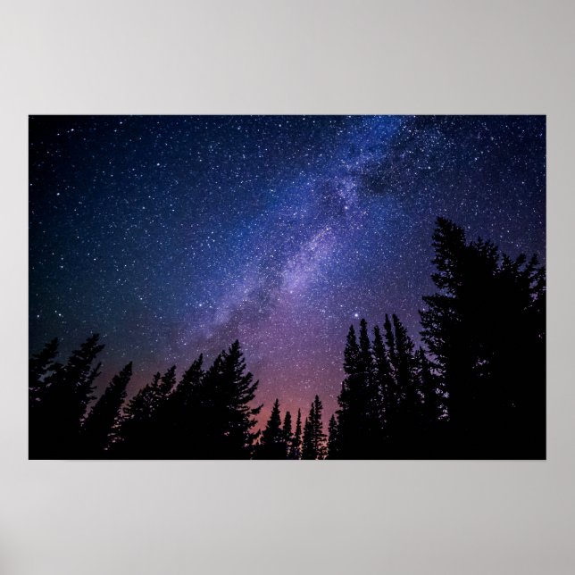 Nattkonst Träd och stjärnkonst | POSTER (Framsidan)