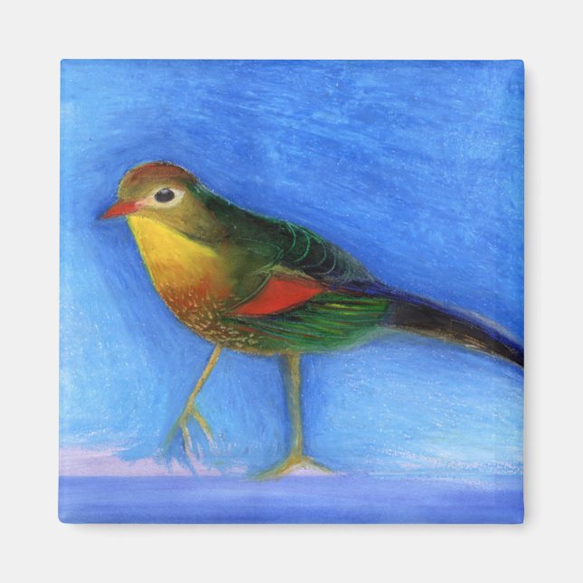 Nattljus 2012 magnet (Framsidan)