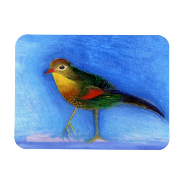 Nattljus 2012 magnet (Horisontell)