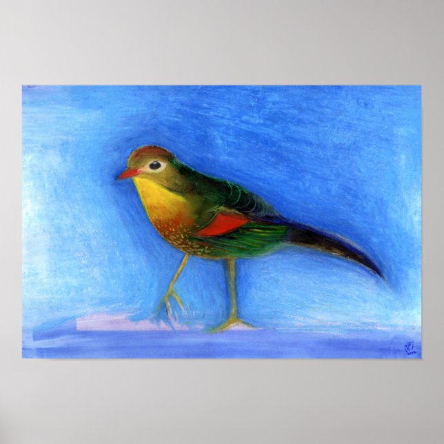 Nattljus 2012 poster (Framsidan)