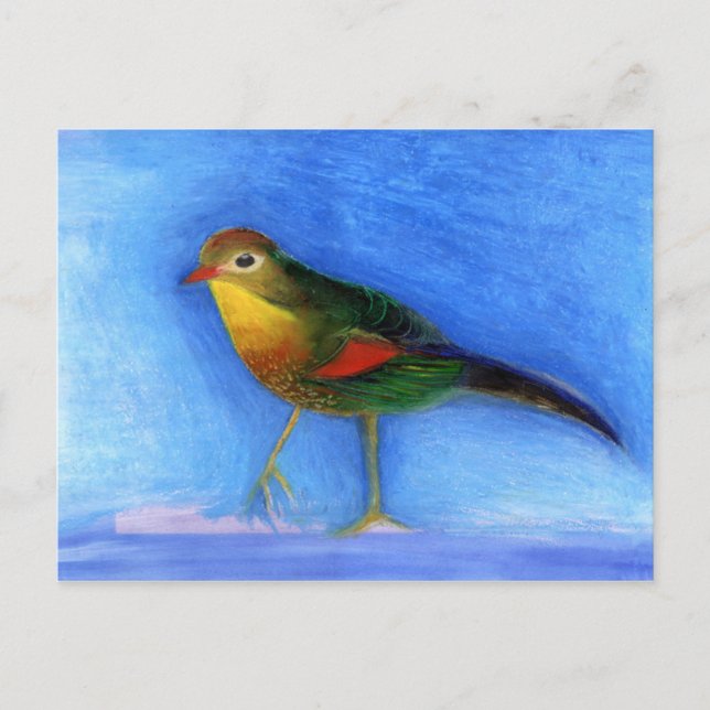 Nattljus 2012 vykort (Framsida)