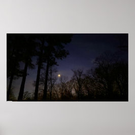 Nattljus, Poster