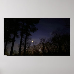 Nattljus, Poster