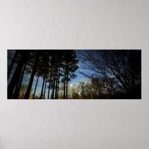Nattljus, Poster
