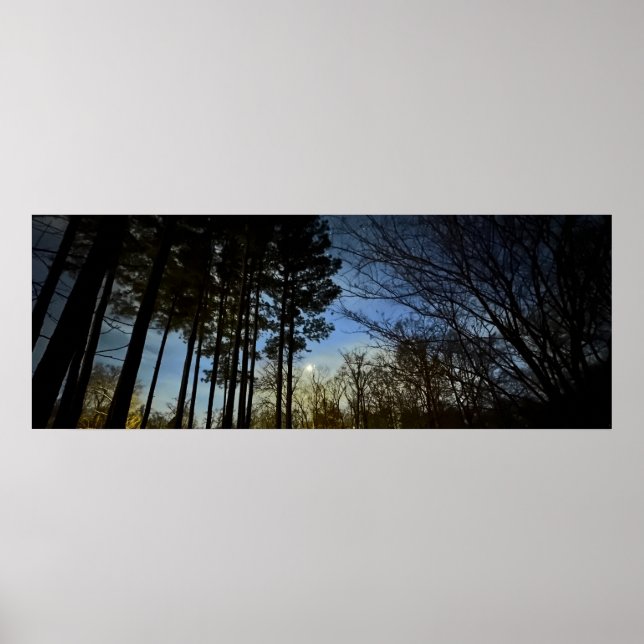 Nattljus, Poster (Framsidan)