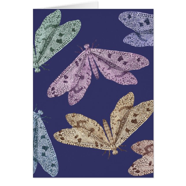 Nattmalar i flyg från Diderots Encylopedia Hälsningskort (Framsidan)