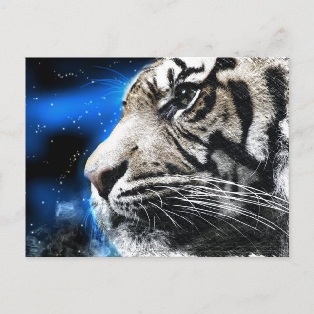 nattstjärnor himmel, vita Tiger Vykort (Framsida)