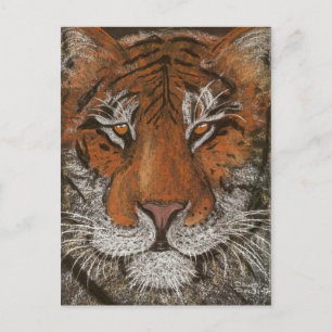 natttiger vykort