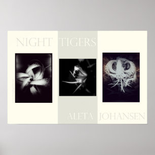 Natttigeraffisch (22,5 in. x 15 in.) poster