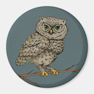 nattuggla magnet