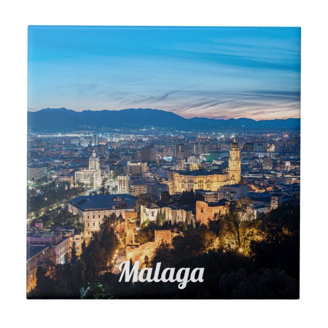 Nattvy över katedralen i Malaga i Spanien Kakelplatta (Framsidan)