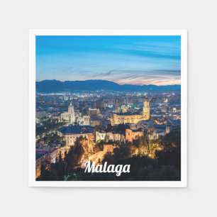Nattvy över katedralen i Malaga i Spanien Pappersservett