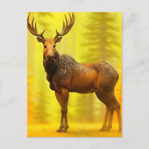 *~* Natur AP49 Älg Skog Fall Gul Sol Vykort