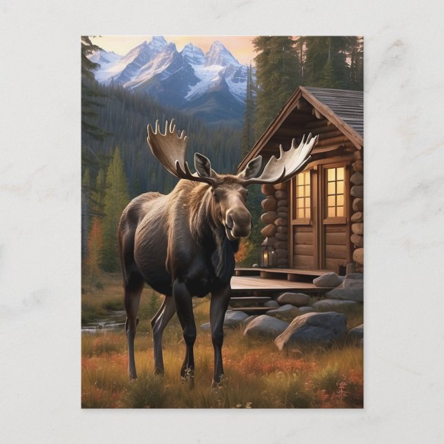 *~* Natur AP49 MOOSE Skogen Forest Dusk Mountains Vykort (Framsida)
