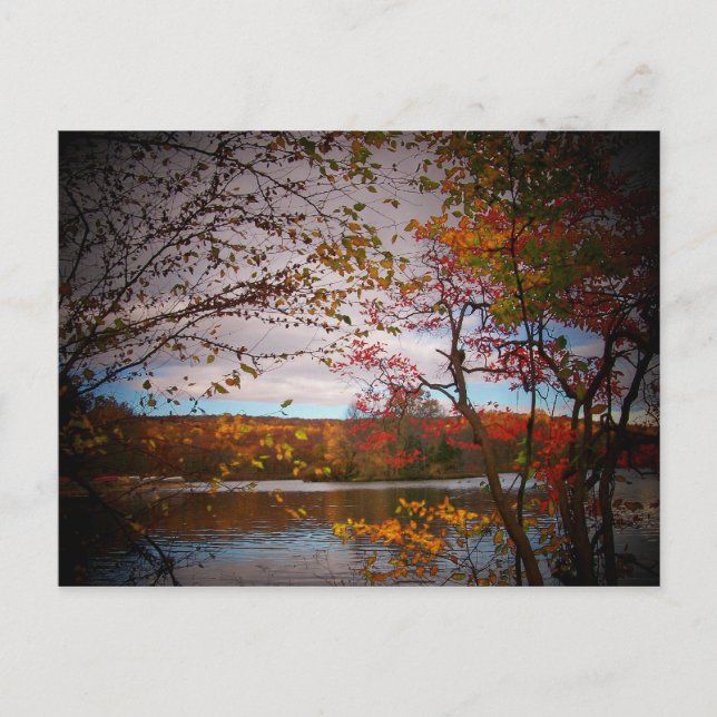 Natur bilder vykort (Framsida)