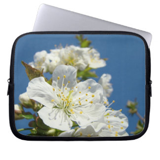 Natur Blå Himmel Körsbärsblommor Vårärmar Laptop Fodral