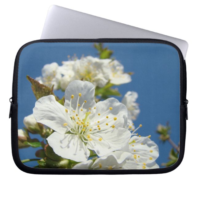 Natur Blå Himmel Körsbärsblommor Vårärmar Laptop Fodral (Framsidan)