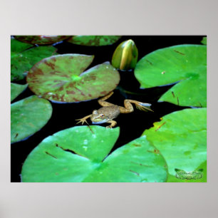Natur bland liljar poster