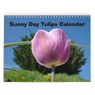 Natur Blomma Kalendrar Solig Dag Tulpaner Blommor Kalender