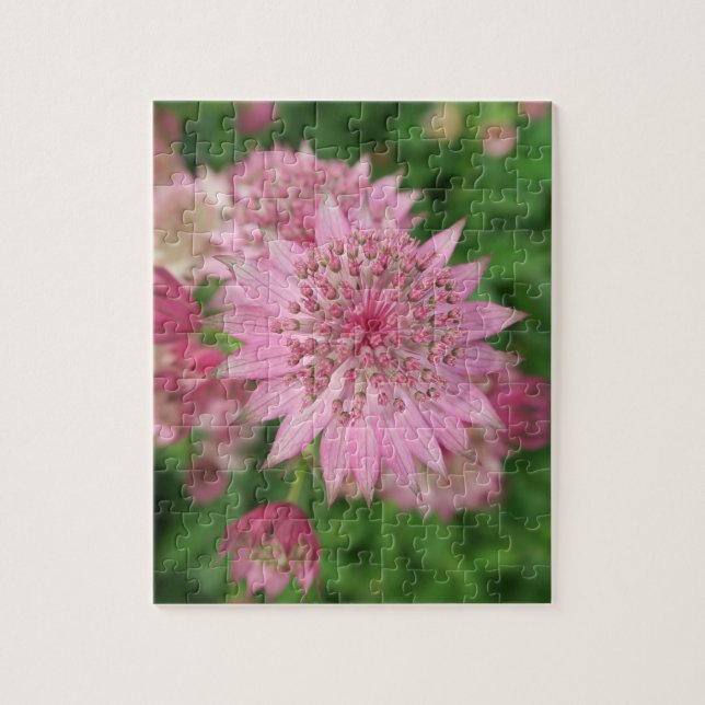 natur, blomma, sommar, lila, blommar, blommigt, pussel (Vertikal)