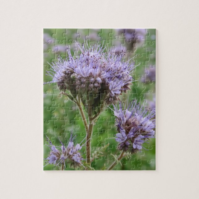 natur, blomma, sommar, lila, blommar, blommigt, pussel (Vertikal)