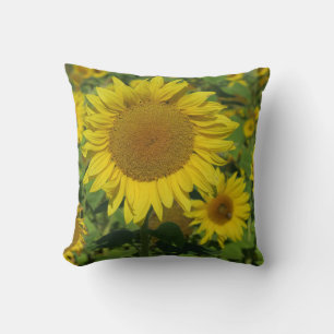 natur, blomma, sommar, solros, blommar, blommigt kudde