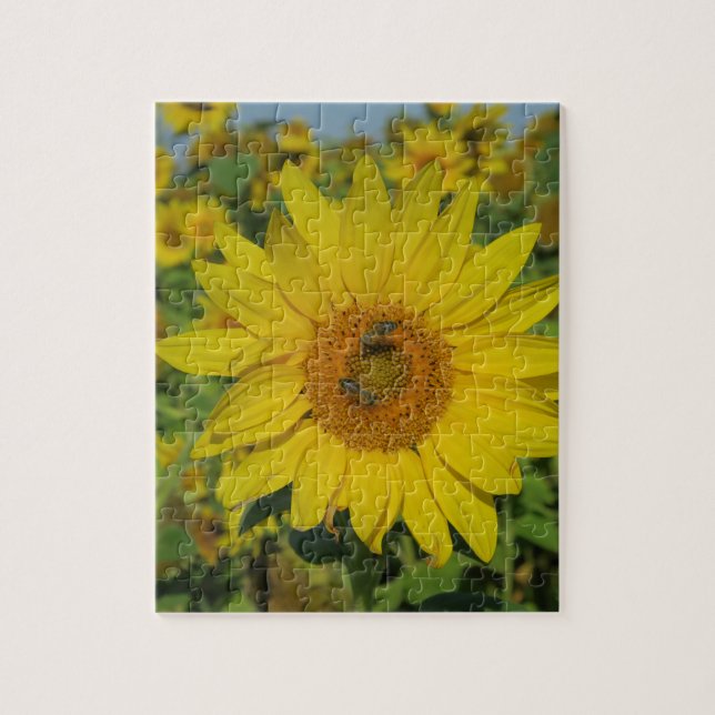 natur, blomma, sommar, solros, blommar, blommigt pussel (Vertikal)