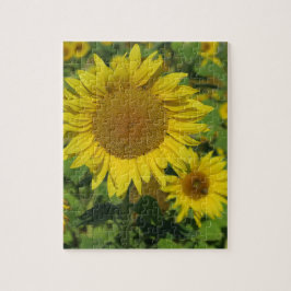 natur, blomma, sommar, solros, blommar, blommigt pussel