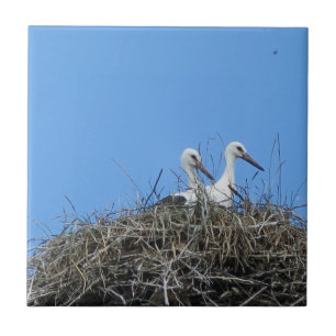 natur, fågel, stork, bo, vita, djur, himlar, kakelplatta