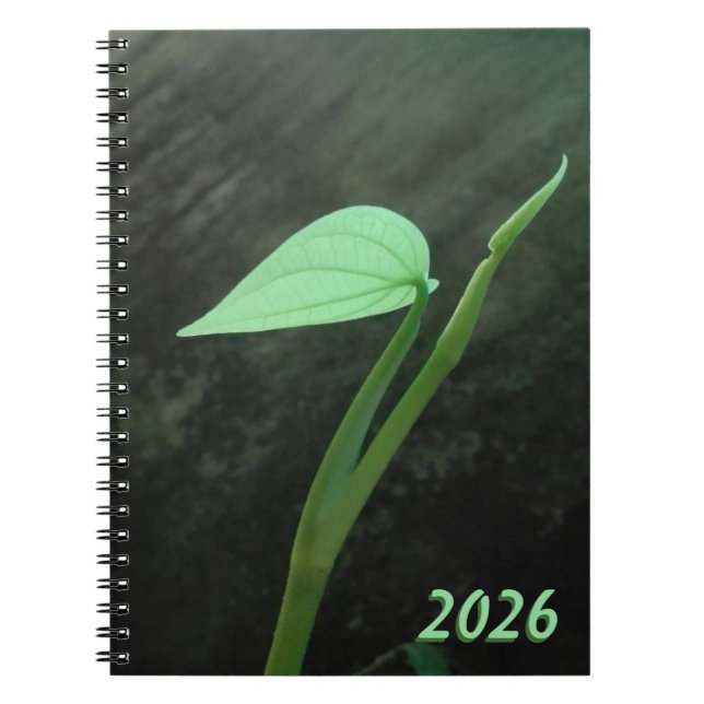 NATUR FLOWER ART FOR GIFT 2026 ANTECKNINGSBOK (Framsidan)