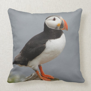 Natur för PuffinfågelAntarctic Kudde