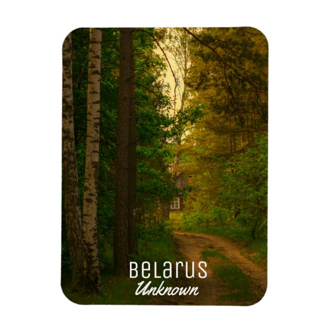 Natur Forest Rural Hut Village Belarus Okänd Magnet (Vertikal)