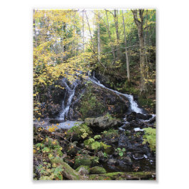 Natur Fototryck