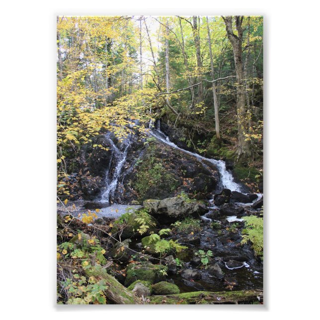 Natur Fototryck (Framsidan)