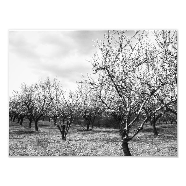 natur fototryck (Framsidan)