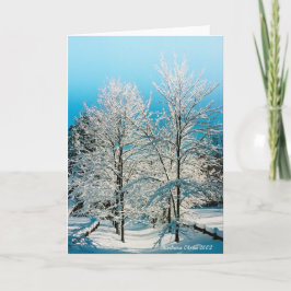 Natur: Fullt av vinitet Walden Pond Helgkort