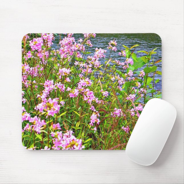 Natur, grönt, vilda blommor, rosa, vatten musmatta (Med mus)